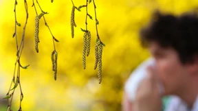 Was wirklich gegen „Heuschnupfen“ hilft