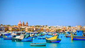 Wo Perlen an den Bäumen wachsen