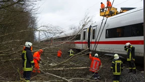 Bahn will Sturmschäden vorbeugen