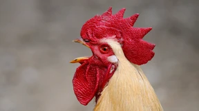 Kann mir mal jemand das Wasser reichen?