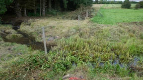 Tatverdächtiger von Weitefeld starb wohl in Betonrohr