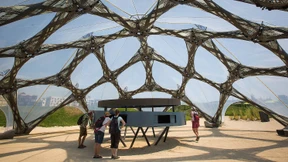 Tausend Tulpen reichen nicht