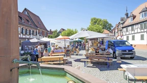 Schatten für die Innenstadt