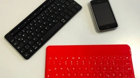 Zwei schöne Schreiberlinge