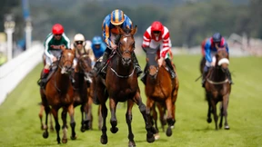 Galoppieren für Elizabeth