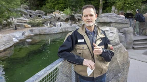 „Frankfurt muss aufpassen, nicht aus der Champions League abzusteigen“