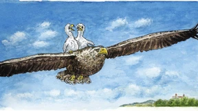 Eine neue Verfassung?