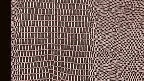 Aufgehen in der Gemeinschaft