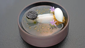 Von Ceviche bis zum Algen-Crumble