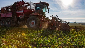 Mieses Zeugnis für EU-Agrarreform