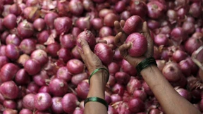 Diebe stehlen in Indien Zwiebeln im Wert von 28.000 Euro