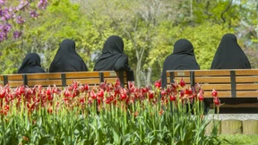 Die islamische Gegenrevolution