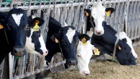 Wie sparsam will Europa sein?