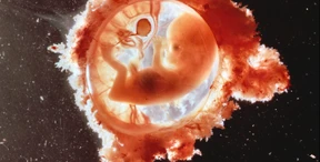 Die Nebenwirkungen der Pränataltests