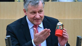 Baden-Württembergs FDP trommelt für kleineren Landtag