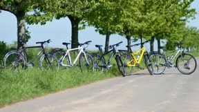 Die fünf von der Landstraße