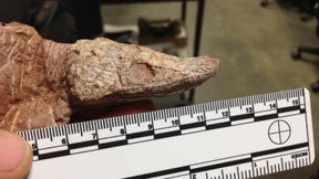 Abwarten im Untergrund