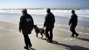 150 Kilogramm Kokain an deutschen Stränden angespült