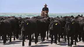 Wenn der letzte Stier im Kochtopf schmort