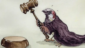 Der Bachelor ist ein Loser-Abschluss