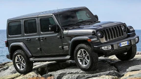 Der letzte Mohikaner