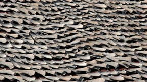 Der Kampf gegen die Korruption freut die Haie