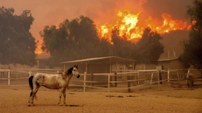 „Eine Bedrohung für die kritische Infrastruktur“