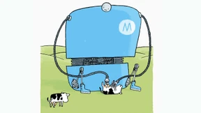 Kühe, die gemolken werden möchten, gehen zum Roboter