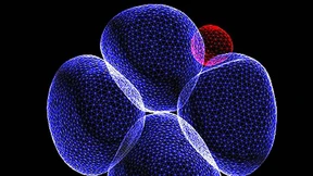 Britische Forscher verändern Erbgut von Embryonen