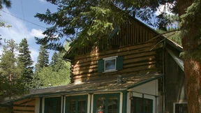 Das definitive Buch über Prokrastination