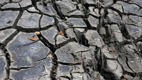 Das vergessene Universum