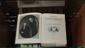 Aus dem Nichts – aus dem Netz