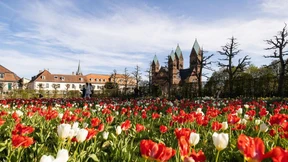Weniger Heizen, mehr Sonnenenergie