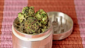 Gekifft wird auf Rezept