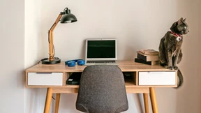 Lieber hier als im Büro?