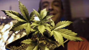 „Innovativ, dynamisch und anpassungsfähig“