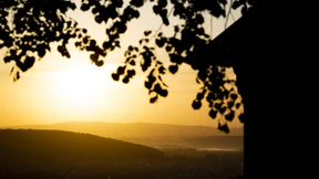 Aufstehen, wenn die Sonne aufgeht