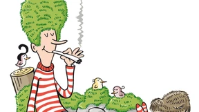 Die Zauberkräfte von Moos