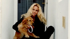 Der Strand der Dinge