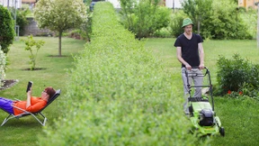 Wenn der Garten zum Schlachtfeld wird