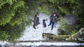 Über Berg, Wald und Wisent