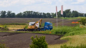 Acht Hamster, 500 Hektar und eine 30-Milliarden-Euro-Investition