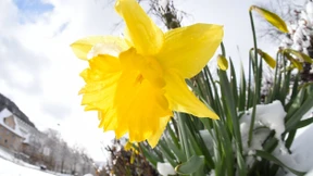 Kaltfront hat Hessen weiter im Griff