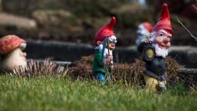 Wie viel Geld verdient eigentlich mein Nachbar?