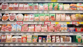 Rewe für  mehr Tierschutz in der Schweinehaltung