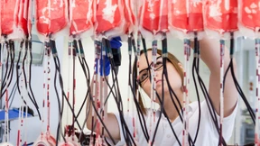 Wollen Sie vielleicht Leben retten?