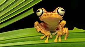 So schnell wollen wir dich nicht loswerden