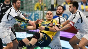 Löwen und Zebras erfolgreich