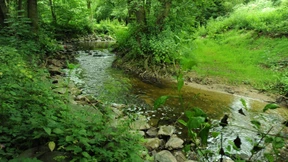 Nachhaltigkeitsinvestoren werden aktiver