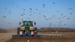 Pachtpreise für landwirtschaftliche Flächen deutlich gestiegen
